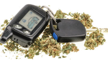 Marijuana Car Police Search