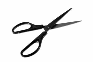 florida scissors