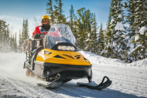 snowmobile theft