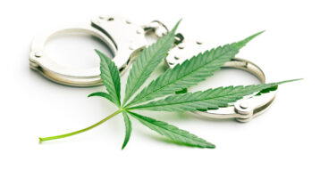 marijuana arrests