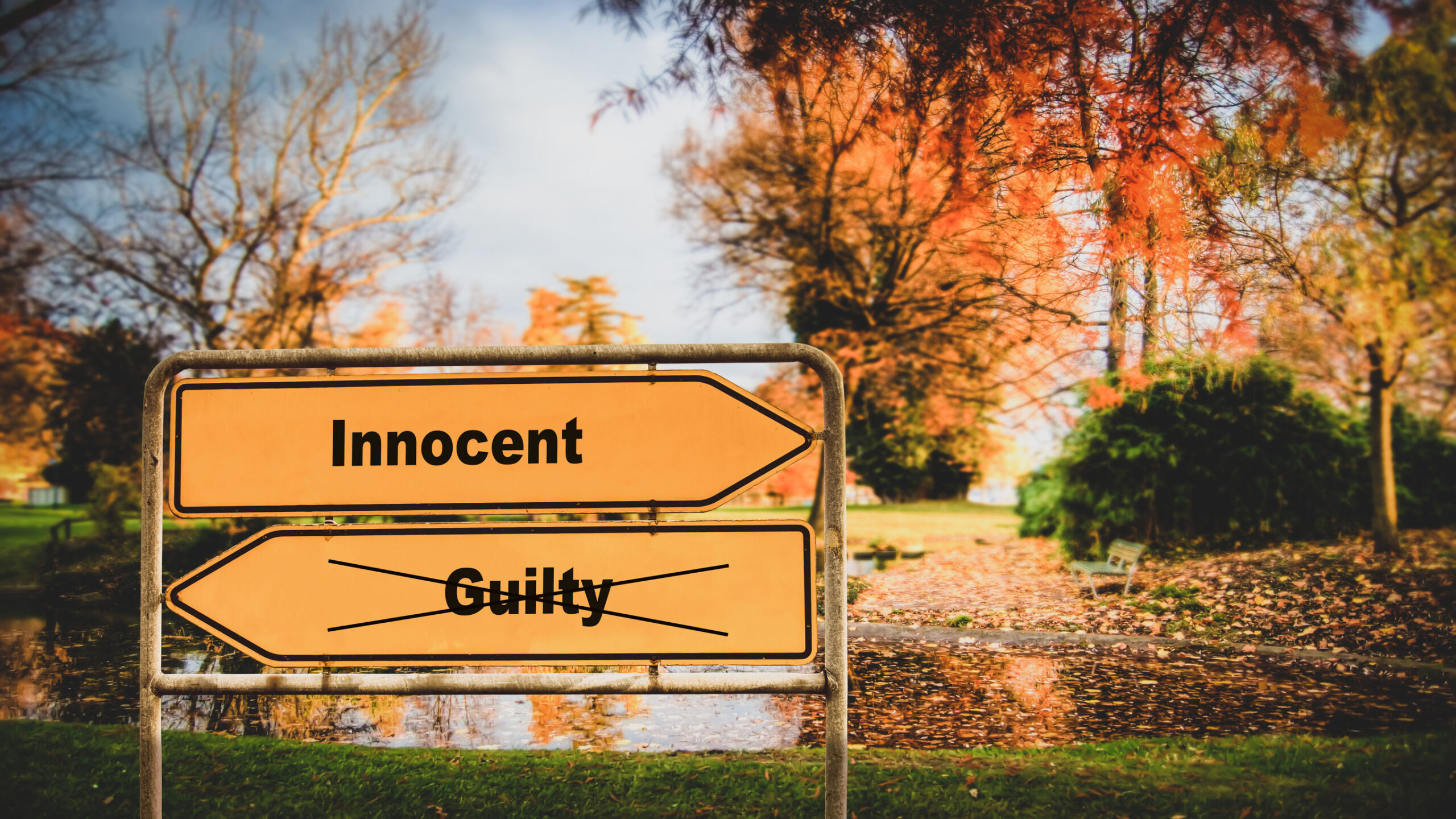 I Don’t Want To Plead Guilty – What Are My Options? | Appelman Law Firm