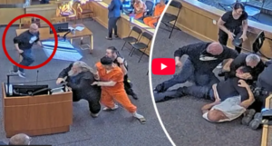 courtroom brawl